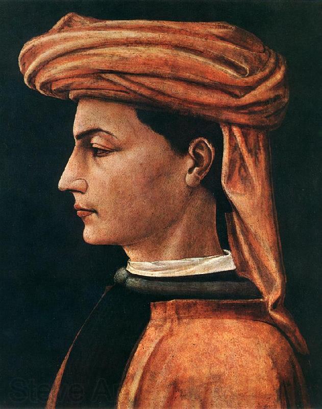 UCCELLO, Paolo Portrait of a Young Man wt Spain oil painting art